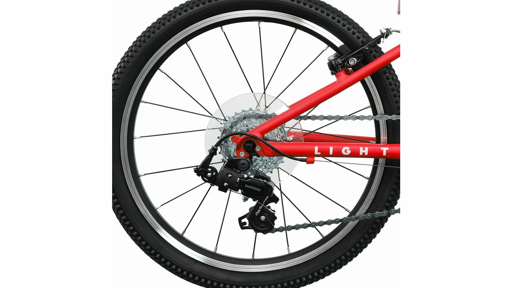 Bocas Light 20 7 Bocas Light 20 – Bild 5