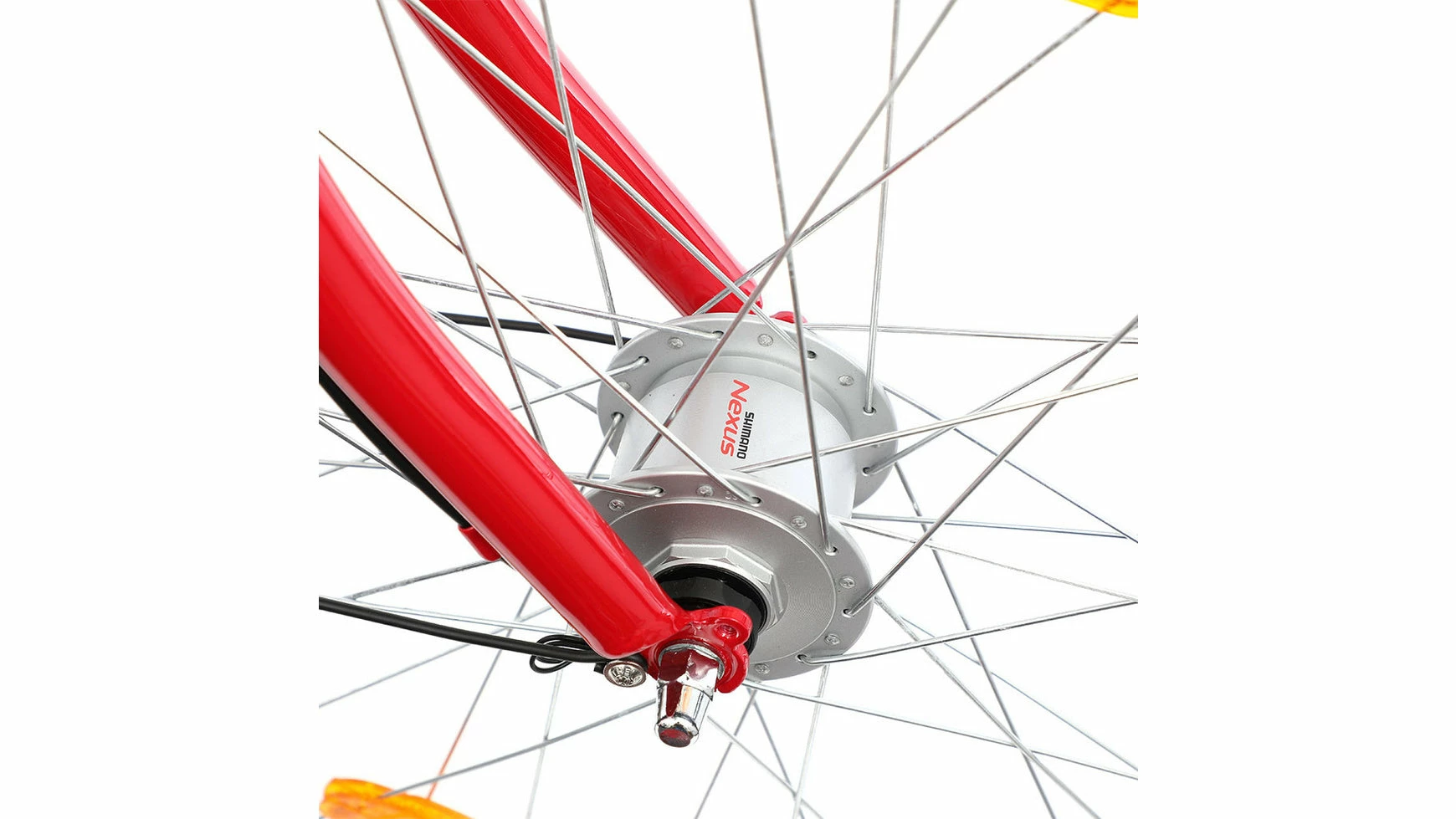 Bocas Race 26.8 5 Bocas Race 26.8 – Bild 3