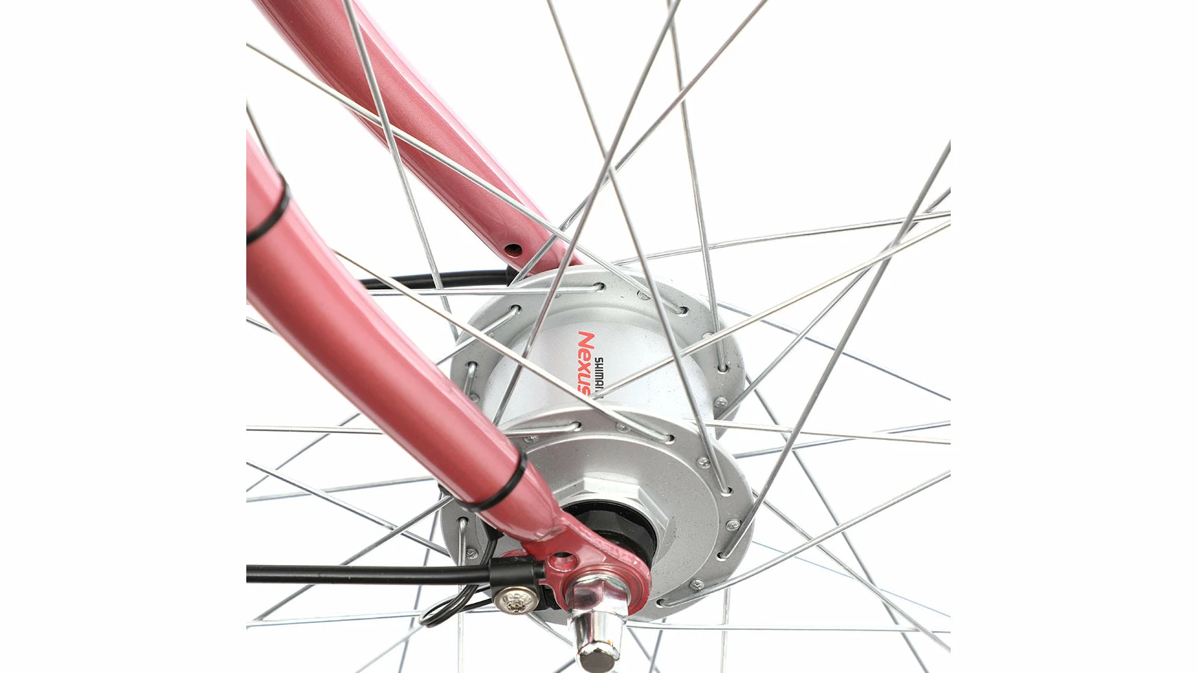 Bocas Emily 24.21 5 Bocas Emily 24.21 – Bild 3