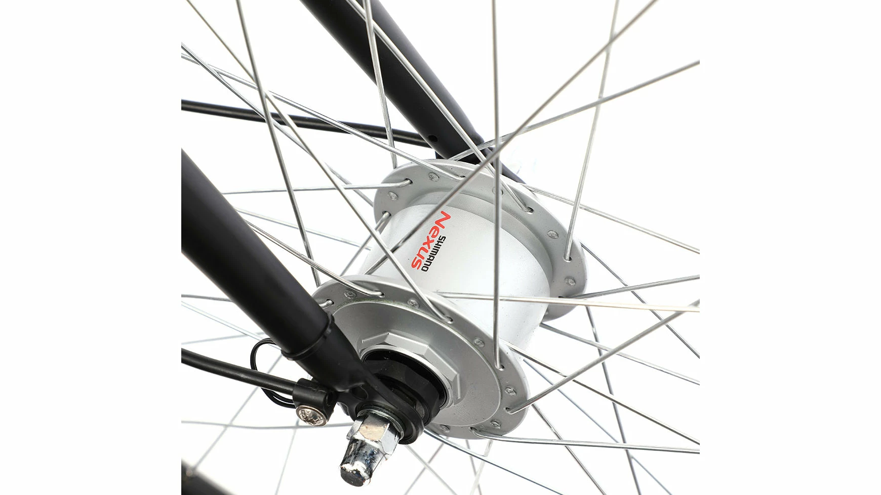 Bocas Hypno 5 Bocas Hypno – Bild 3