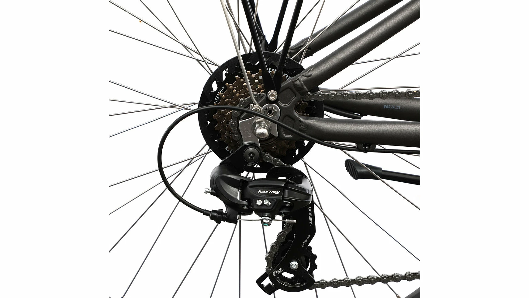 Bocas Spore 4 Bocas Spore – Bild 2