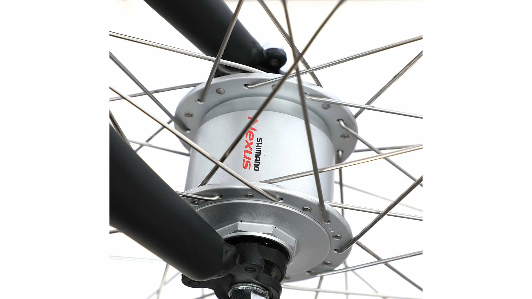 Bocas Spore 5 Bocas Spore – Bild 3