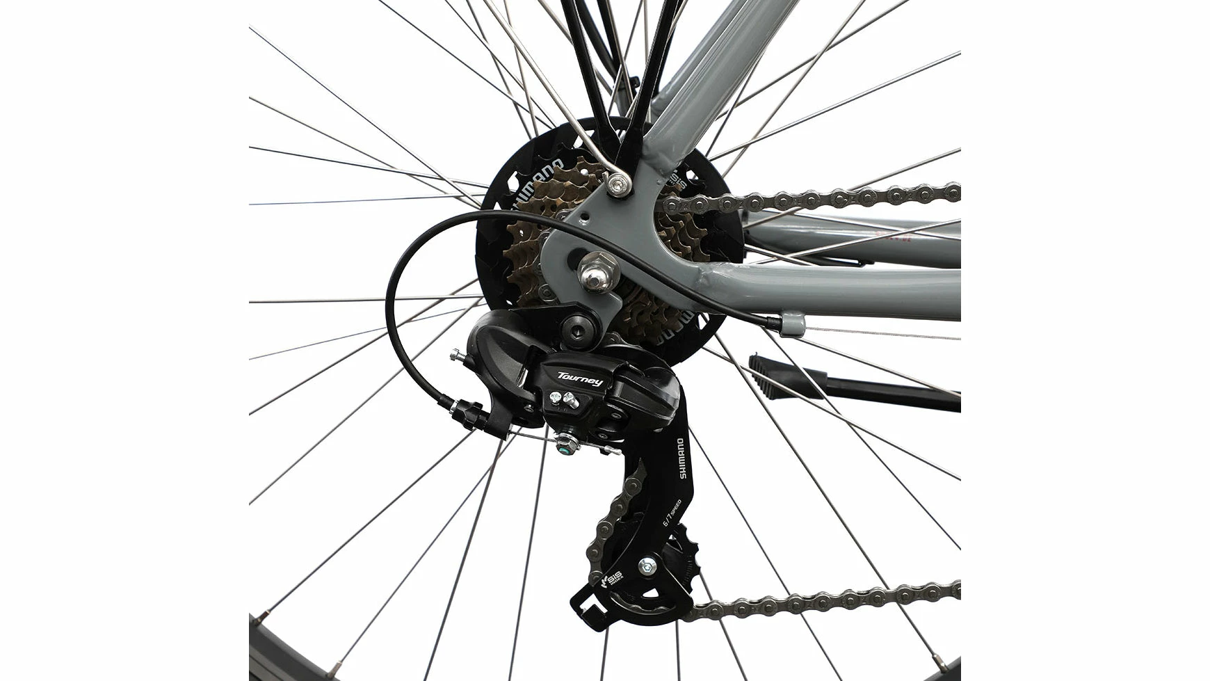 Bocas Spore Trapez 4 Bocas Spore Trapez – Bild 2