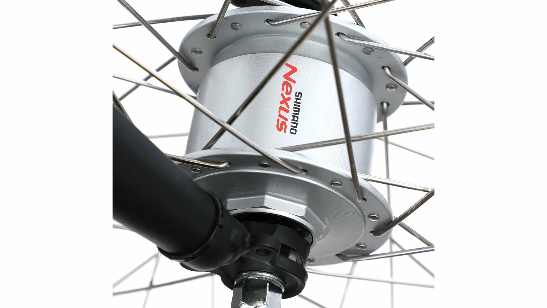 Bocas Spore Trapez 5 Bocas Spore Trapez – Bild 3