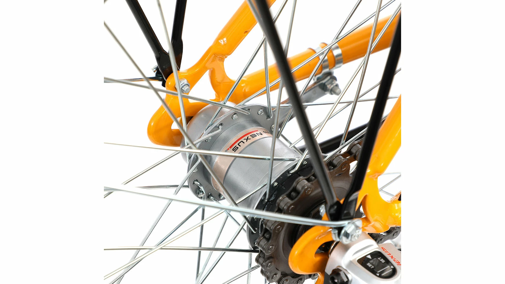 Bocas Stella 20.3 Wave 4 Bocas Stella 20.3 Wave – Bild 2