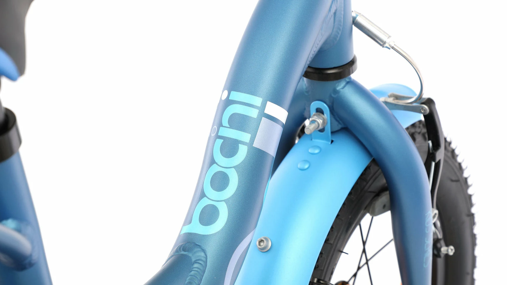 Bocini Leon 12 4 Bocini Leon 12 – Bild 2