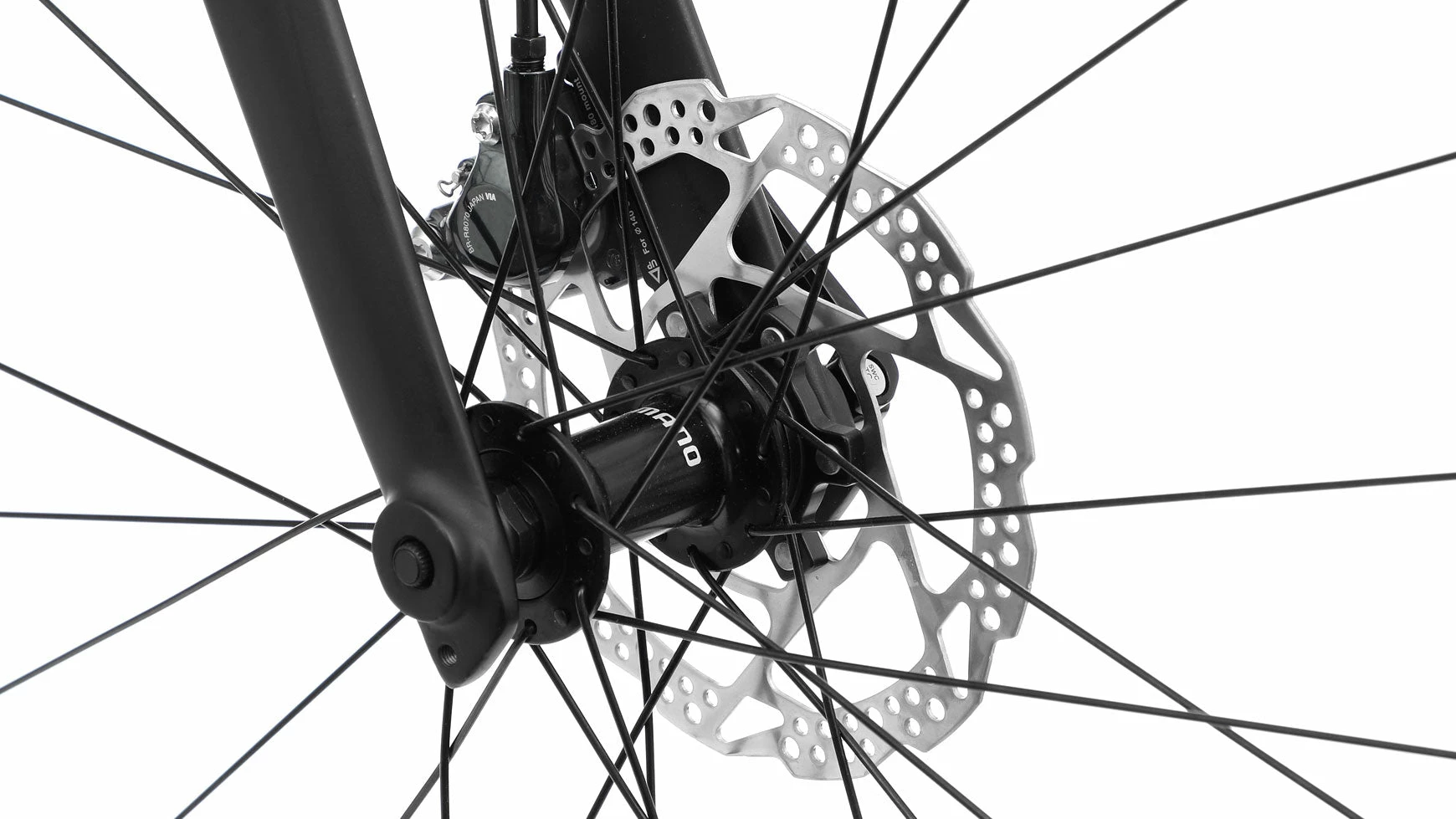 Compel RX 14.0 4 Compel RX 14.0 – Bild 2