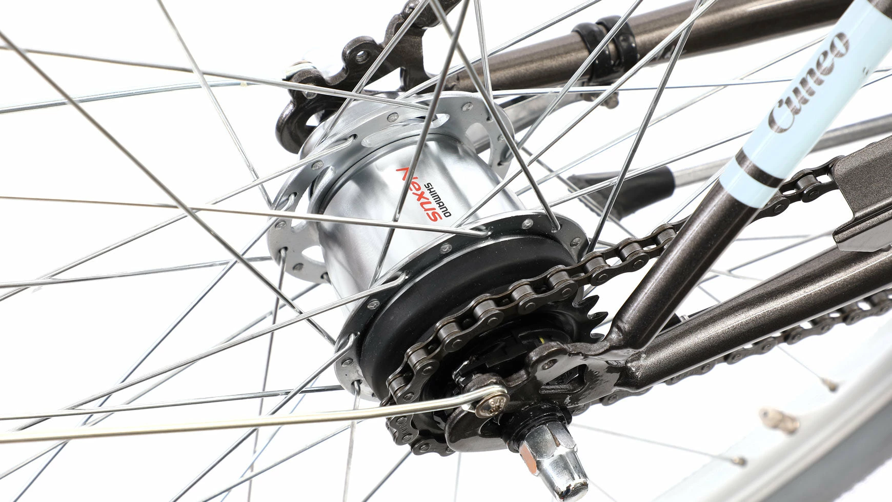 Cuneo Ibiza 8 Cuneo Ibiza – Bild 6