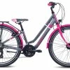 S'cool ChiX Twin Alloy 24-21 1 S'cool ChiX Twin Alloy 24-21 -Trekkingräder Verkäufe az Scool ChiX twin alloy 2421 0 blackberry 216392