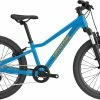 Cannondale Kids Trail