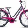 S'Cool ChiX Twin 24-3 1 S'Cool ChiX Twin 24-3 -Trekkingräder Verkäufe az scool chix twin 24 3 0 darkgreypink 222079